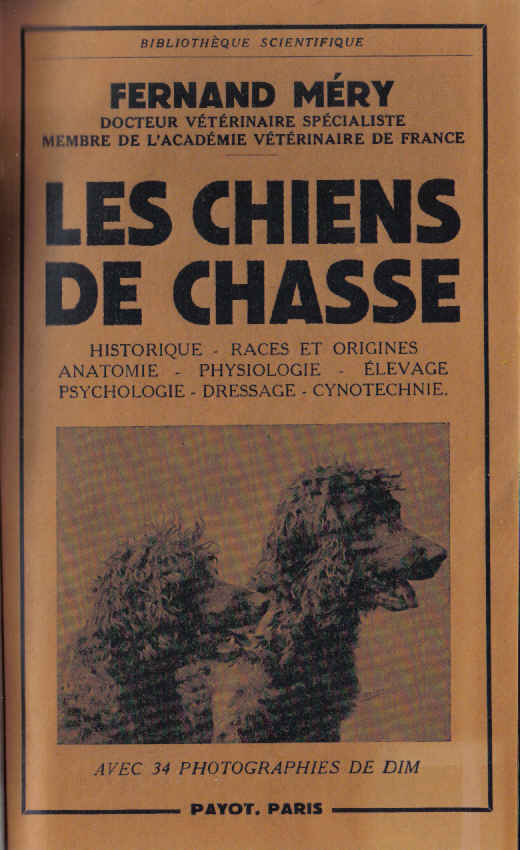 chiens de dhasse